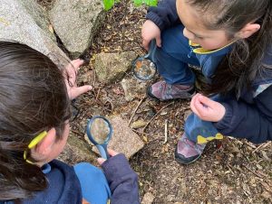 Girls and boys from Aysén discover native flora and fauna in outdoor classrooms