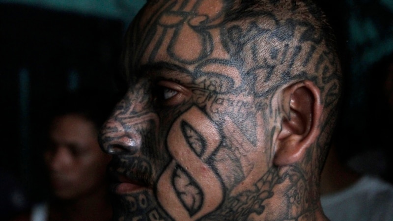 How did they operate and what has changed in the gang organization in El Salvador?