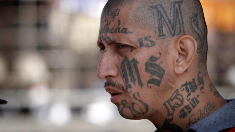 Mara Salvatrucha program that ended up being an escape route for gang members fleeing El Salvador