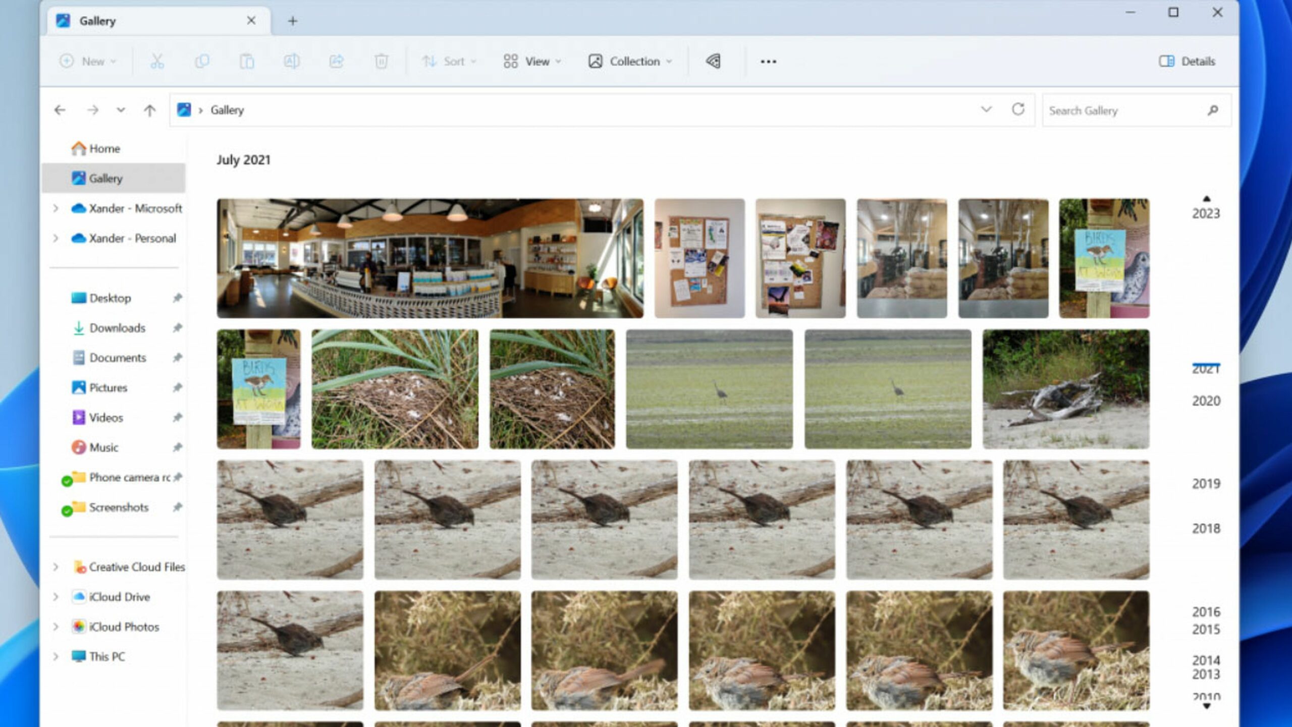 Microsoft wants to make browsing and sharing photos easier in Windows 11