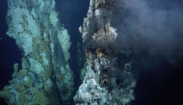 hydrothermal vents