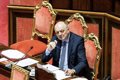 The Italian Minister of the Environment defends not euthanizing a bear that killed a person in Trento