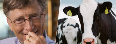 Bill Gates has invested part of his fortune against an unexpected enemy of the planet: cow burps