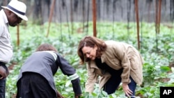 US Vice President Kamala Harris visits Panuka farms on the outskirts of Lusaka, Zambia, Saturday, April 1, 2023. (AP Photo/Angela Nandeka)