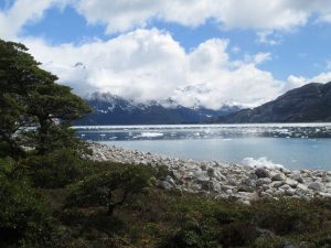 What are they and what are the challenges of the Subantarctic Natural Laboratories?