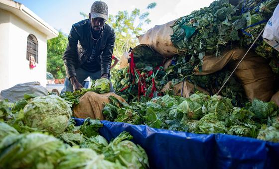 Almost half of the Haitian population suffers from high levels of hunger