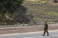 An Israeli slightly injured by shots fired by a Palestinian against several vehicles in the West Bank