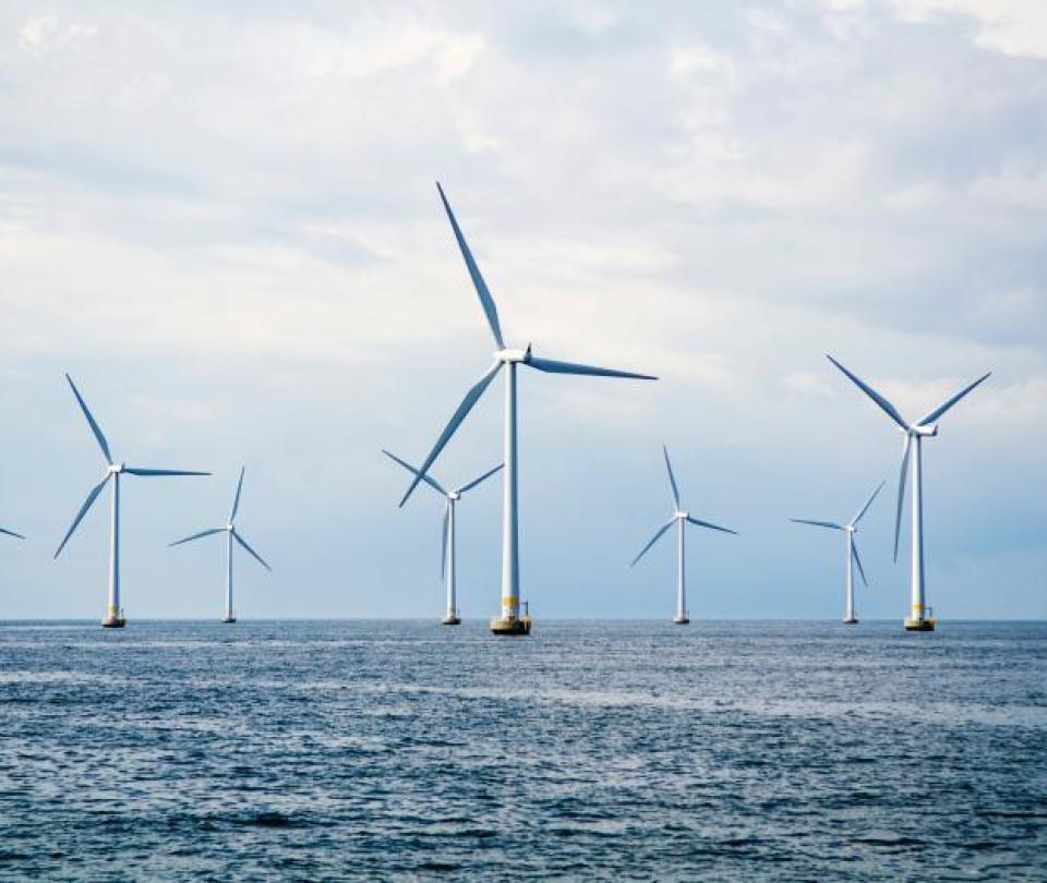 Auction confirmed for offshore wind generation projects