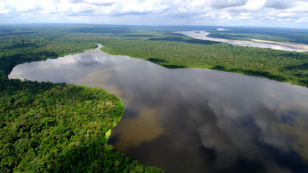 Brazil prepares presidential summit to save the Amazon