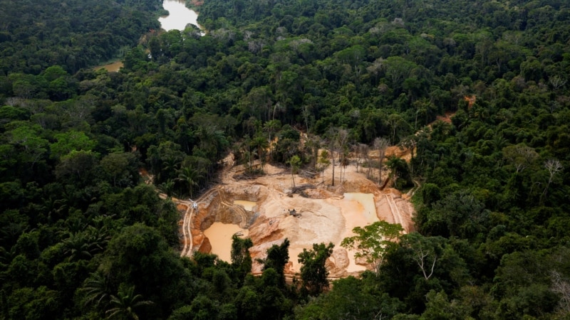 Brazilian police shoot dead four illegal gold miners on a Yanomami reservation