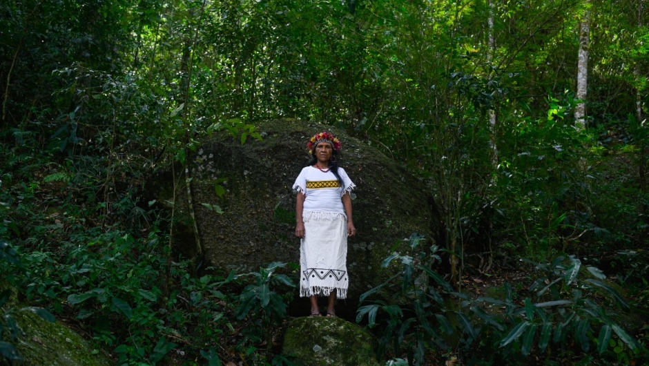 brazil exploitation indigenous lands