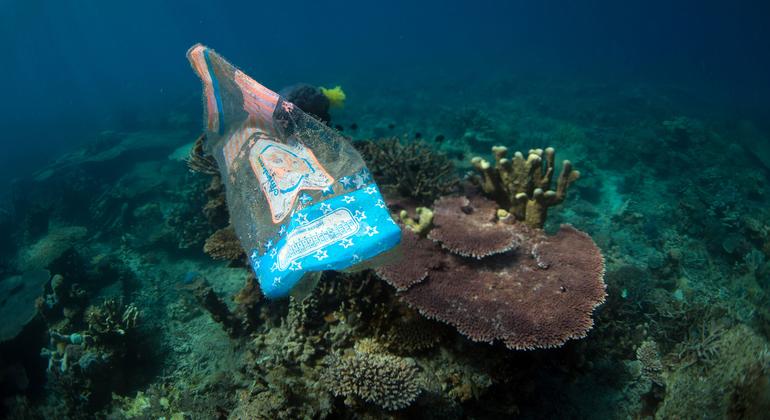 Marine plastic debris has affected more than 600 marine species.