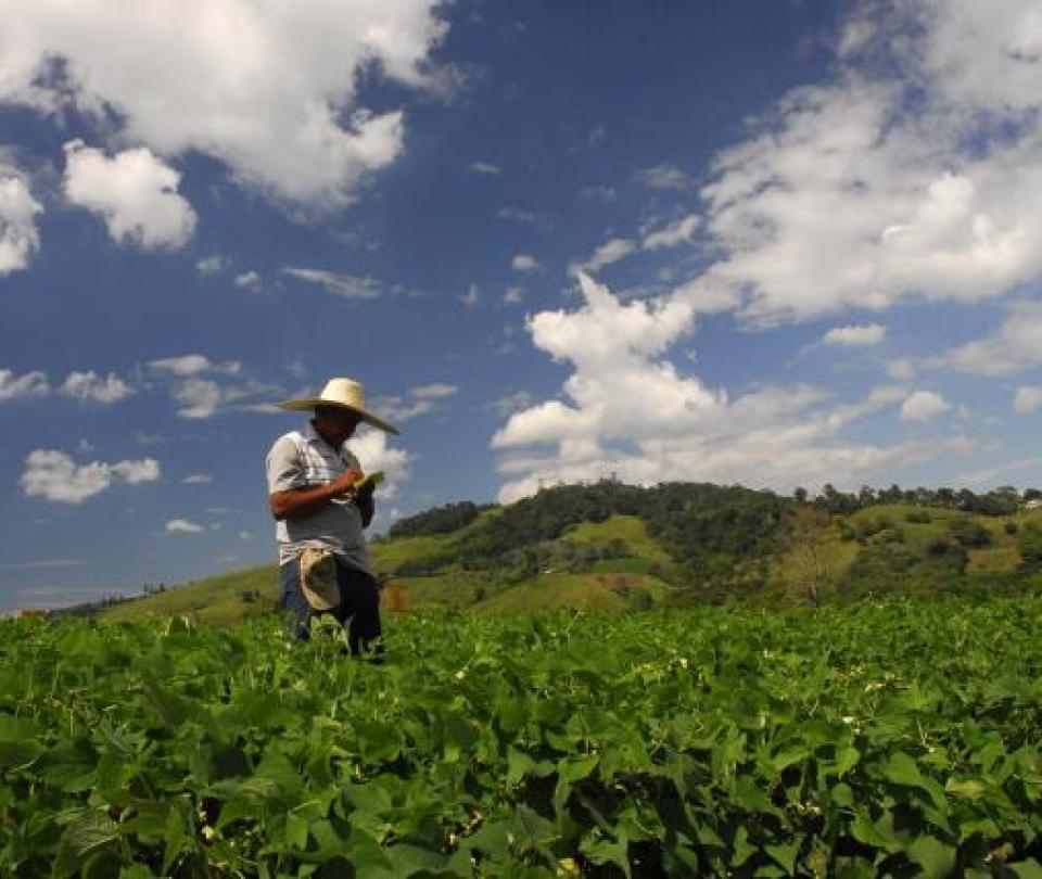 European Union initiates technical support to Colombian agricultural producers