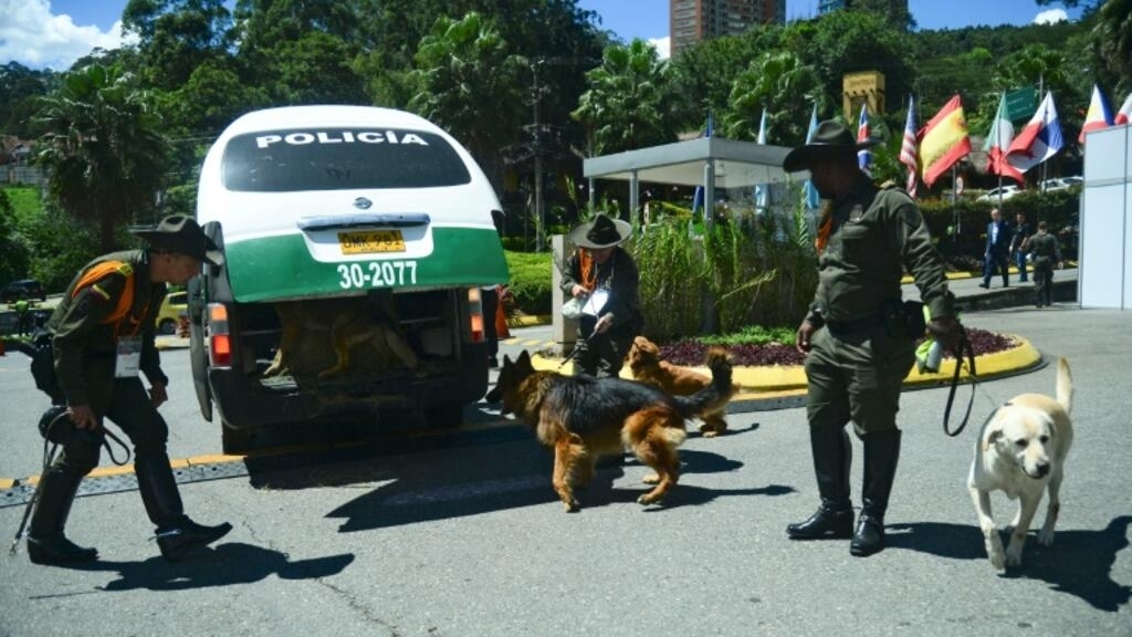 His Majesty the dog continues to gain ground in Colombia