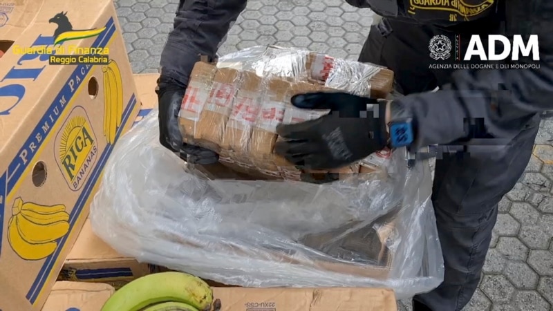 Italian police detect cocaine hidden in banana shipment from Ecuador