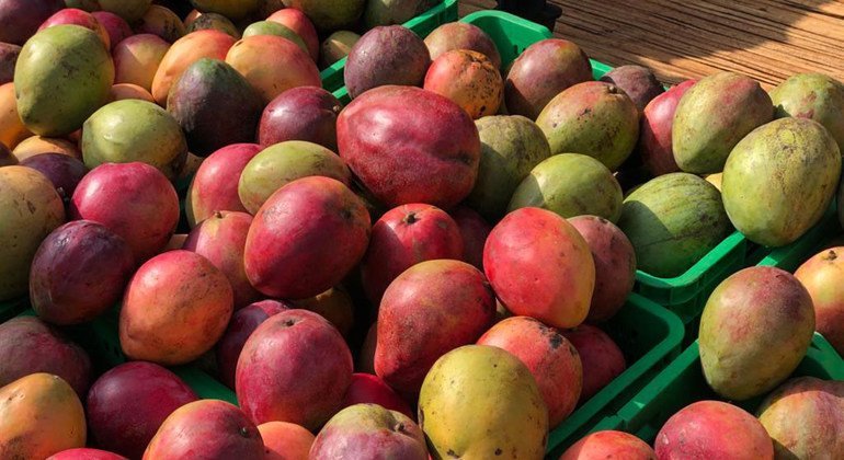 The fresh fruit, like the mangoes, comes from local Ugandan farmers.