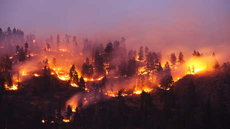 The world could face record temperatures this year with the possible return of El Niño