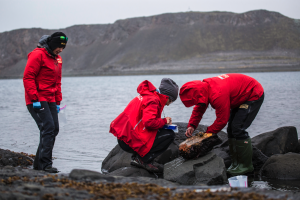 TROYA Project: Scientists study unknown parasites of Antarctica