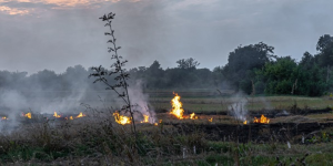 They award funds to create a model that allows monitoring areas susceptible to fires