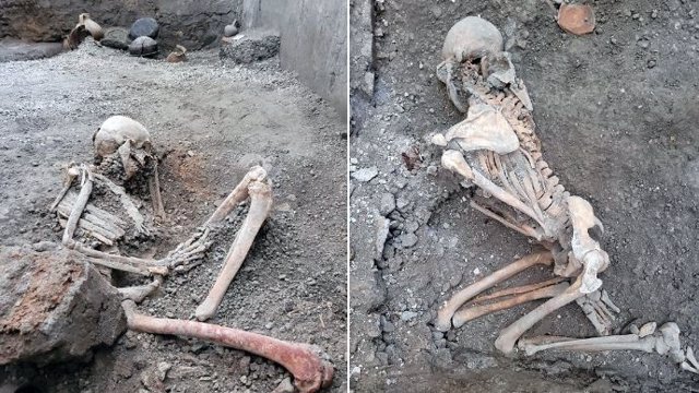 Images of the two new skeletons recovered in Pompeii