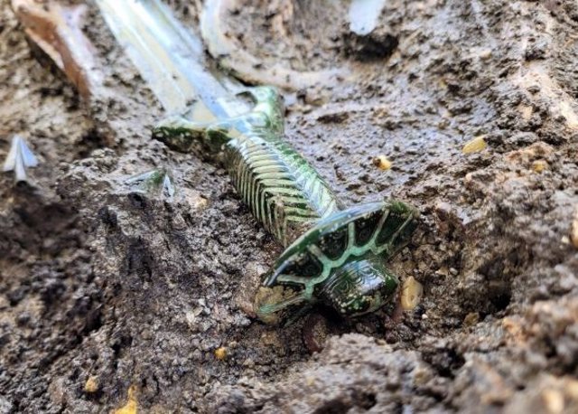 Image of the newly discovered 3,000-year-old bronze sword in Germany