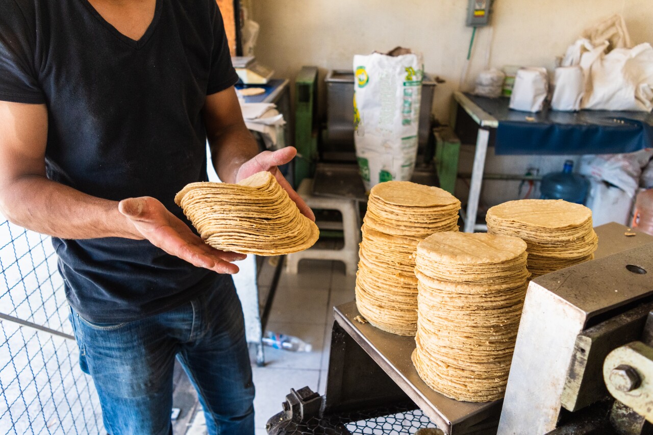 AMLO will require tortilla shops to use only white corn