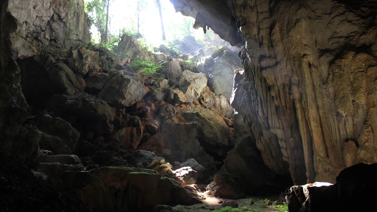 cave laos homo sapiens