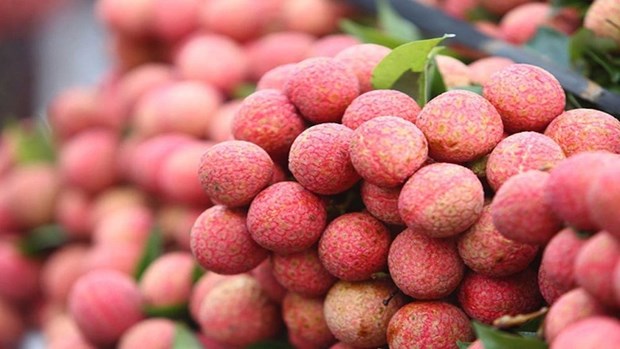 VIETNAM LYCHEES