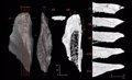 Neanderthals also made bone tools