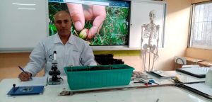 Professor of Biological Sciences at Escuela Alborada de Lampa prepares research on sowing legumes with low water consumption