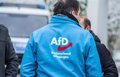 The far-right AfD remains second in the polls in Germany