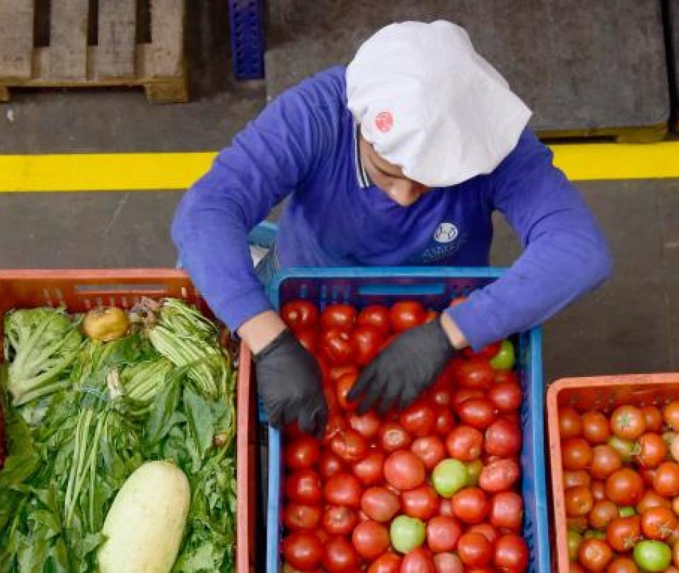 The reasons for the slowdown in food trade in 2023