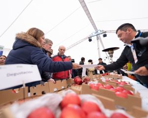 UTalca experts develop crops that adapt to climate change