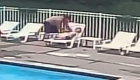 Children rescue another from drowning in a pool