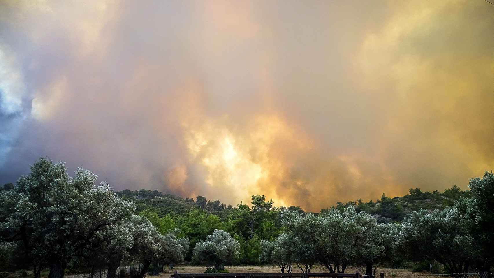 A large forest fire on the Greek island of Rhodes forces the evacuation of more than 2,500 tourists by boat