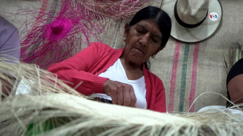 Agroexpo: a fair to promote agriculture in Colombia