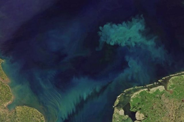 To track changes in ocean color, the scientists analyzed ocean color measurements taken by the Moderate Resolution Imaging Spectroradiometer (MODIS) aboard the Aqua satellite.