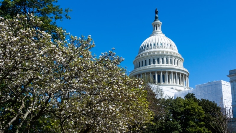 Colombians in Washington live on July 20 between ceremonies and protests