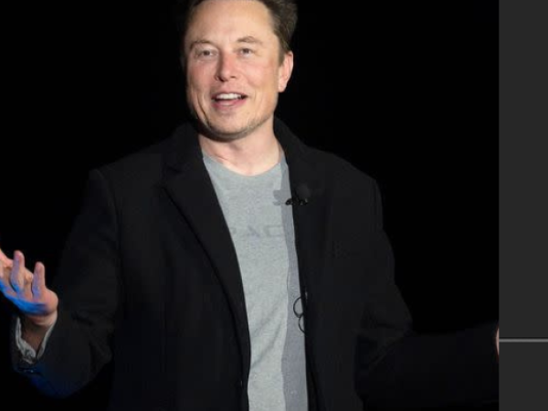 Elon Musk Internet