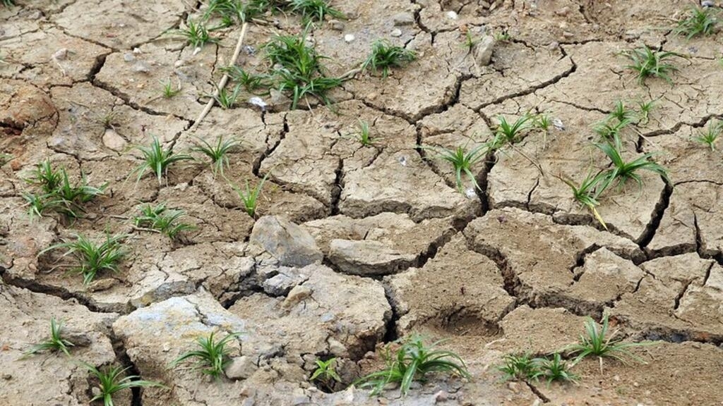 FAO proposes actions to adapt agriculture to new climate challenges