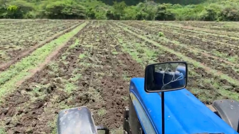 Increase in diesel, "hard blow" that worries the agricultural sector of Venezuela