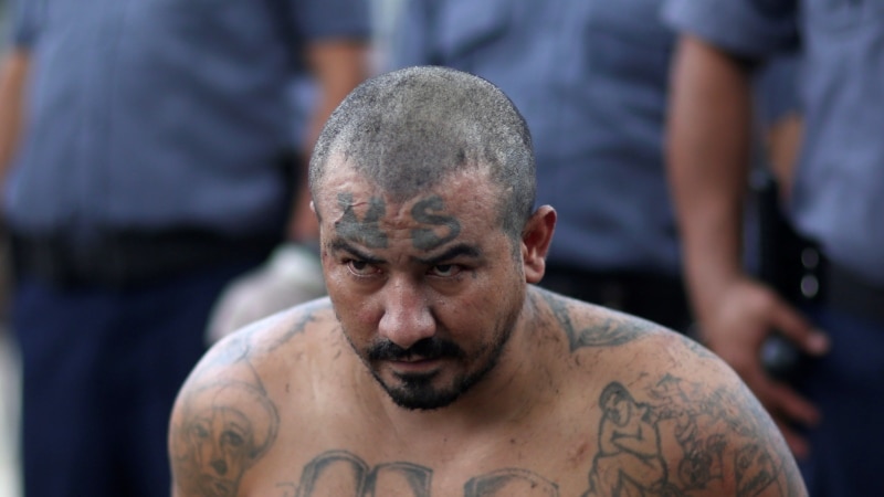 Justice of El Salvador denies extradition to the US of 4 leaders of the Mara Salvatrucha