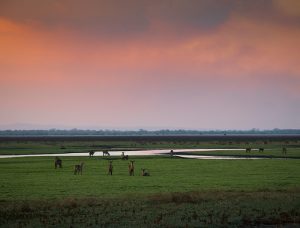 Mozambique and the origins of humanity