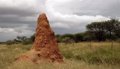 Termite Inspired Climate Friendly Air Conditioning