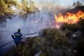The Greek prime minister acknowledges that it will be a "difficult summer" due to the fires: "There is no magic solution"