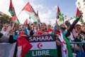 The Saharawi Movement for Peace asks the EU to promote a peaceful solution to the conflict