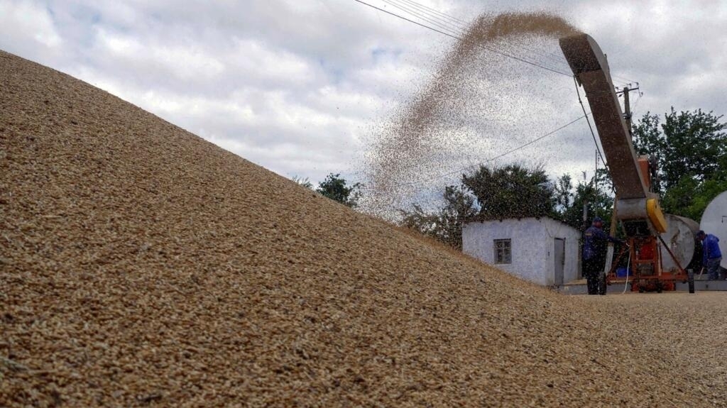 What impact will the end of the agreement on cereal exports have in Latin America?