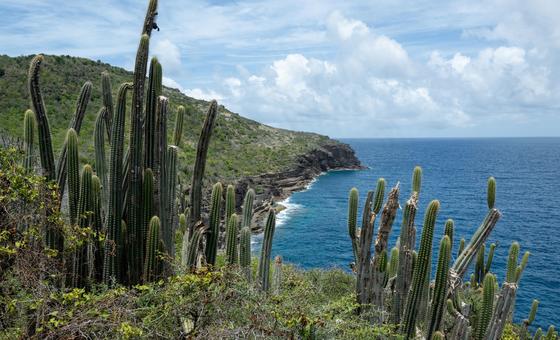 Climate change threatens 41 million people in coastal areas of Latin America and the Caribbean