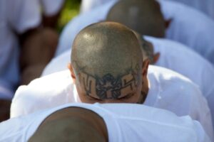 El Salvador advances in collective trials.  What does it consist on?