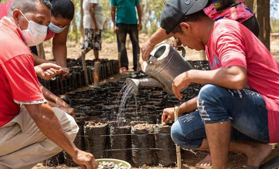 Latin America needs to increase tax collection to eliminate inequality